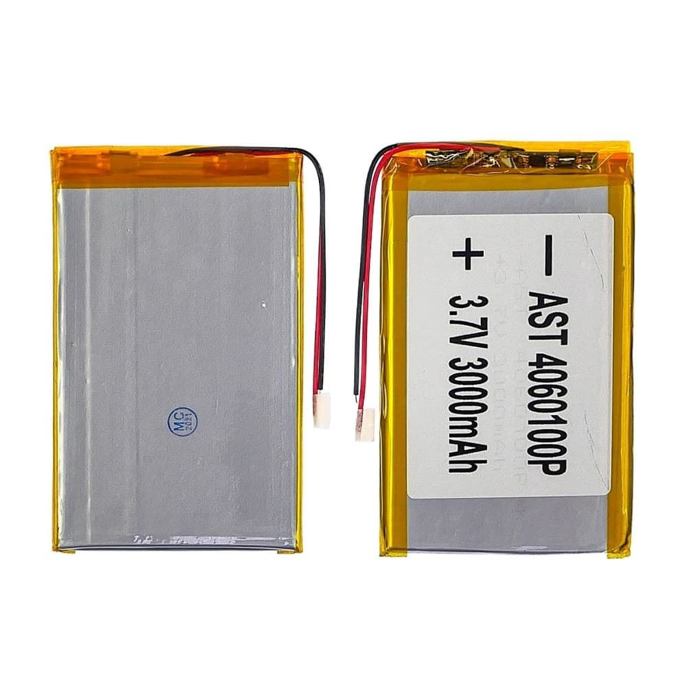 ���������� 4060100P, �������������, � �����������, 4 � 60 � 100 ��, 2500 mAh | ���, �������, �����������