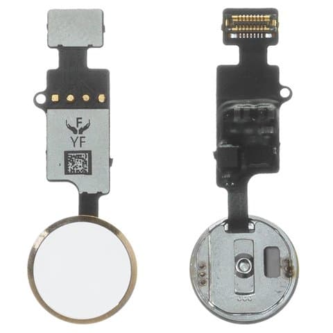 ����� Apple iPhone 7, iPhone 7 Plus, iPhone 8, iPhone 8 Plus, iPhone SE 2020, ������ Home, ����������, � ���������, ��� ������� ��������� ������� (��� Touch ID)