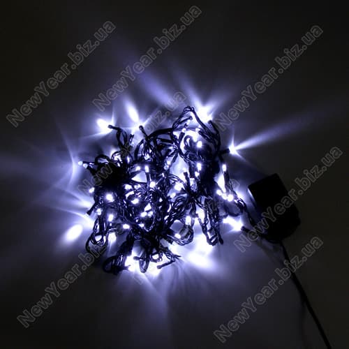 �������� ��������, 100 �����������, 7 ������, ���� ����, ������ ������