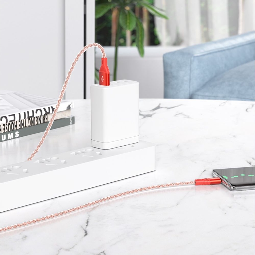 USB-������ Borofone BX96, Type-C, 100 ��, �������