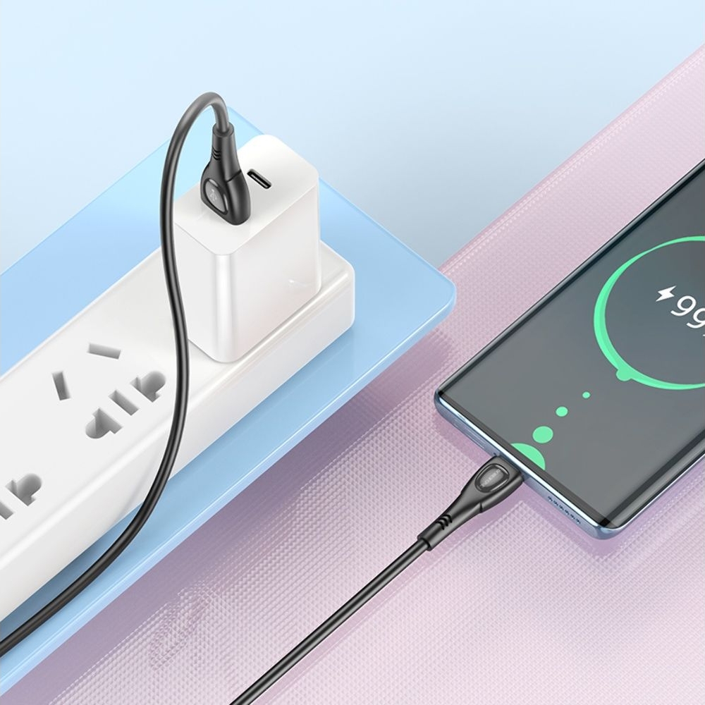 USB-������ Borofone BX98, Type-C, 100 ��, ������