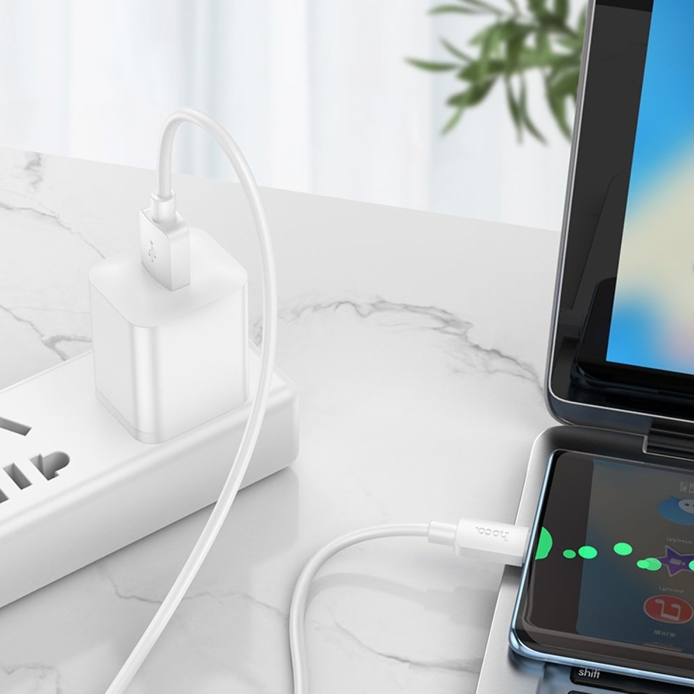 USB-������ Hoco X96, Type-C, Power Delivery (27 ��), 100 ��, ����