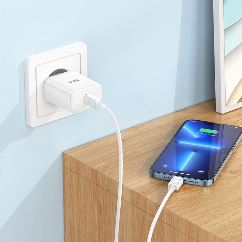 ������� �������� ���������� Hoco C104A, Type-C, � ������� Type-C �� Lightning, �����