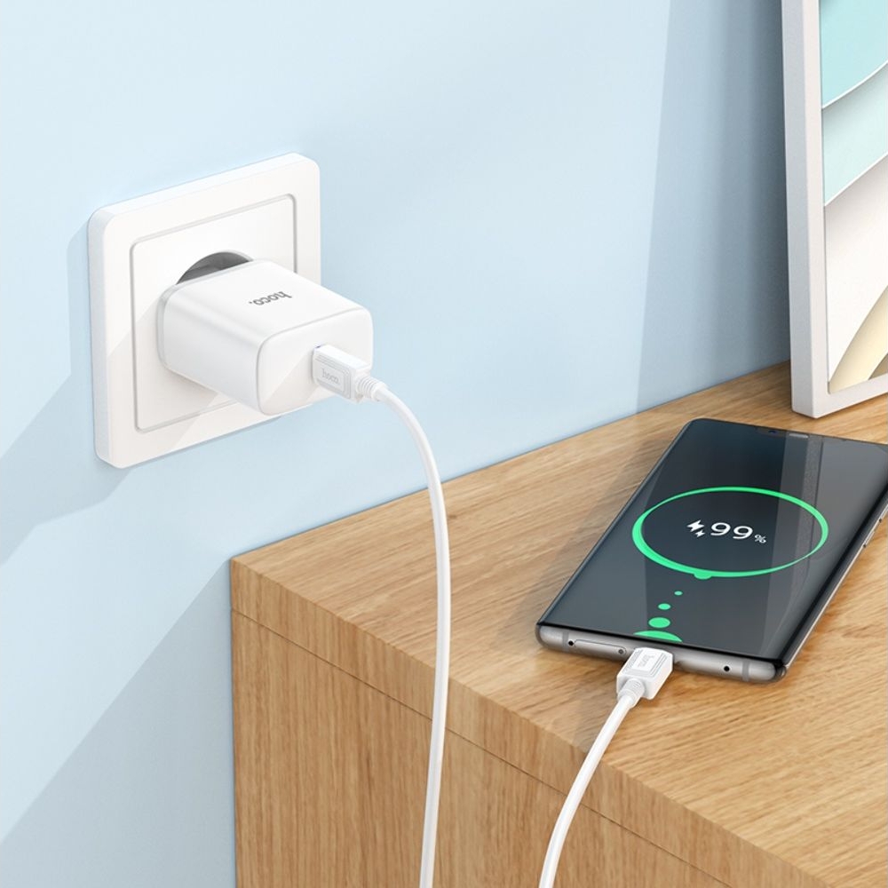 ������� �������� ���������� Hoco C104A, Power Delivery (20 ��), �����