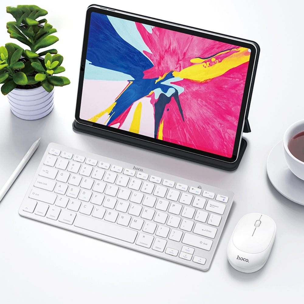 �������� ������������ ���������� � ���� Hoco DI05 (ENG/ ���) white