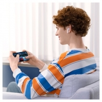 ��������� Baseus Bowie WX5, ������������, �����, � �������� ������, #A00051000213-00